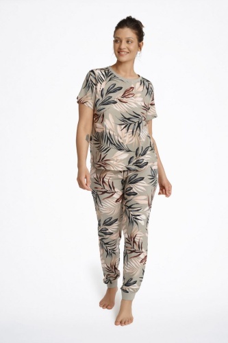 Серо-зеленый_1